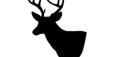 Животные 3256