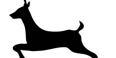 Животные Олень 679