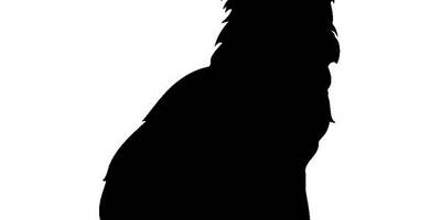 Животные 735