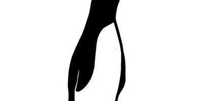 Животные 1211