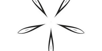 Орнамент цветы 317