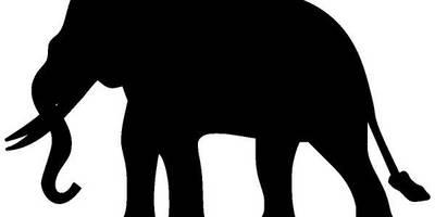 Животные 2739