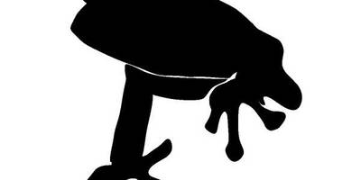 Животные 1969