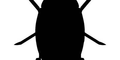 Животные 3060