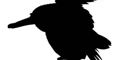 Животные 3453