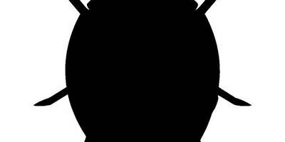 Животные 3045