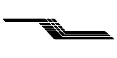 Виниловая наклейка на авто 112