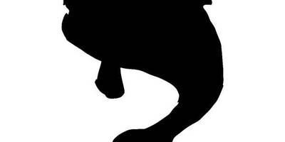 Животные 1066