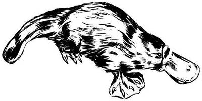 Животные 1082