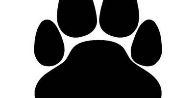 Животные 882