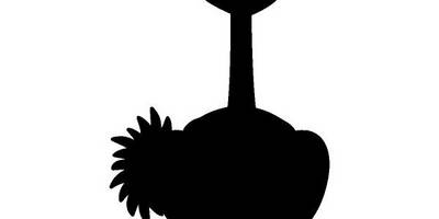 Животные 3745