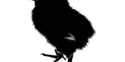 Животные 4247