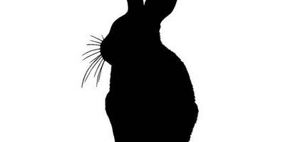 Животные 4156