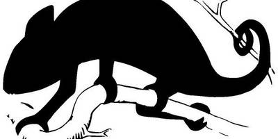 Животные 3223