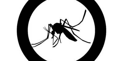 Животные 3193