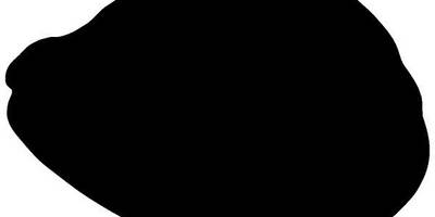 Животные 3068