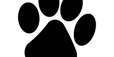 Животные 785