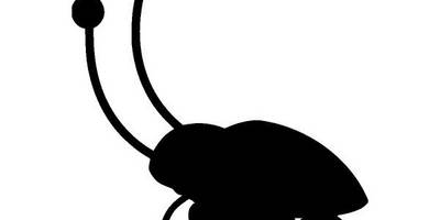 Животные 843