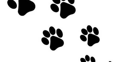 Животные 783