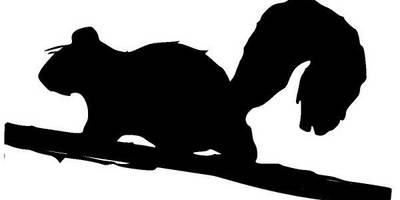 Животные 872