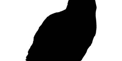 Животные 2243