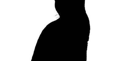 Животные 4173