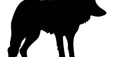 Животные 3709