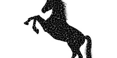 Животные 2348