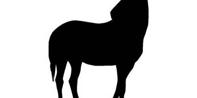 Животные 1190