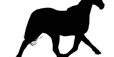 Животные 4008