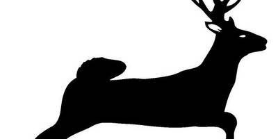 Животные 1329