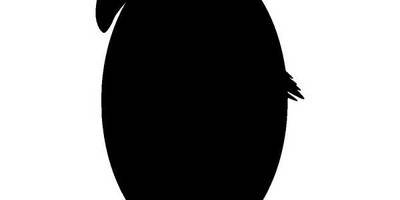 Животные 3130