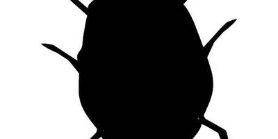 Животные 3047