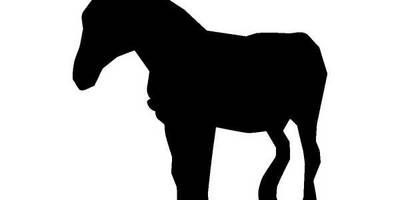 Животные осел 677