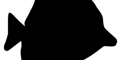 Животные 2400