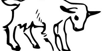 Животные 507