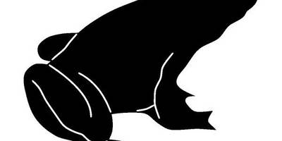 Животные 1477