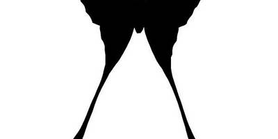 Животные 3490