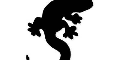 Животные 1871