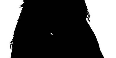 Животные 3504