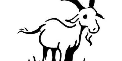 Животные 171