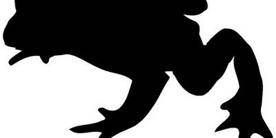 Животные 1751