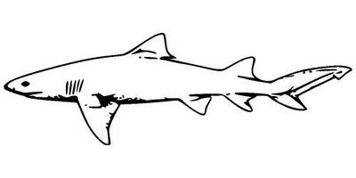 Животные 459