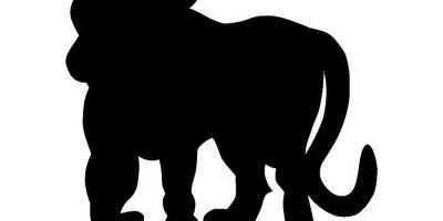 Животные 2511