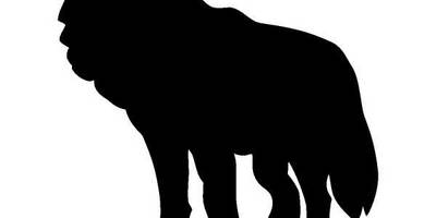 Животные 859