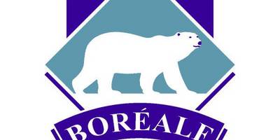 Boreal logo