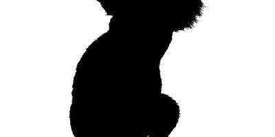 Животные 3034