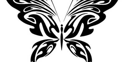 Животные 2567