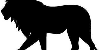 Животные 674