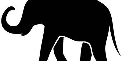 Животные 2706